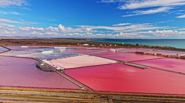Salt is extracted from large evaporation ponds divided by narrow earthen banks, with coastal water and flat land visible beyond the ponds.