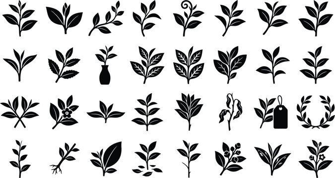 Botanical Emblem Collection: A diverse array of black and white botanical icons, featuring leaves, branches, and small floral elements, presented in a grid layout.