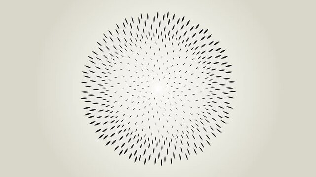 Black dotted starburst vector graphic with radial rays emanating from center point against neutral light background