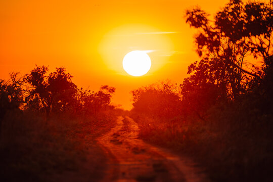 Sunset creating an orange glow over a path