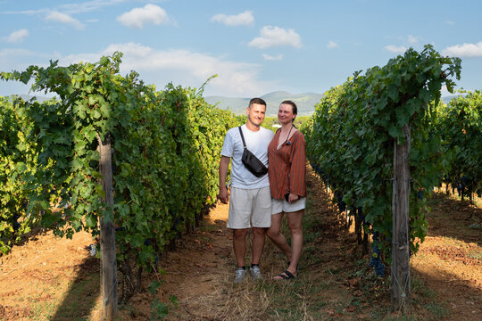A couple stands together between rows of a sun-drenched vineyard