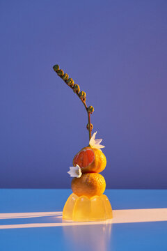 Jelly composition