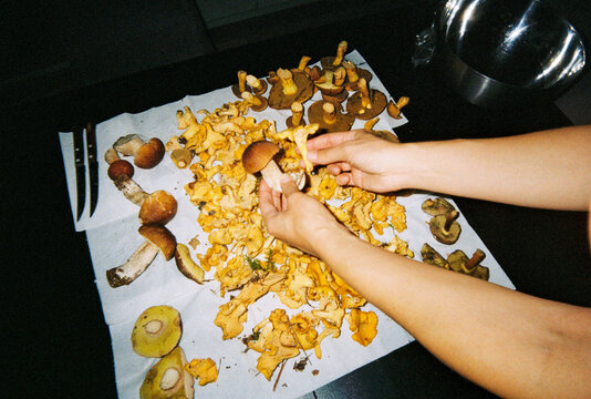 Showing Mushrooms As A Result Of Foraging