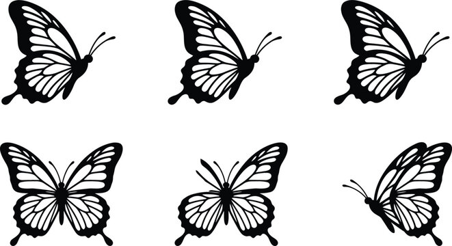 Decorative monarch butterfly shapes collection with detailed open wings from different angles for spring nature craft design
