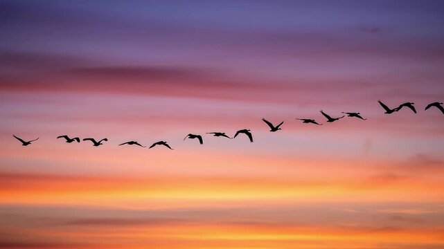 A flock of birds flying in formation across a vibrant sunset sky with shades of purple, pink, and orange clouds