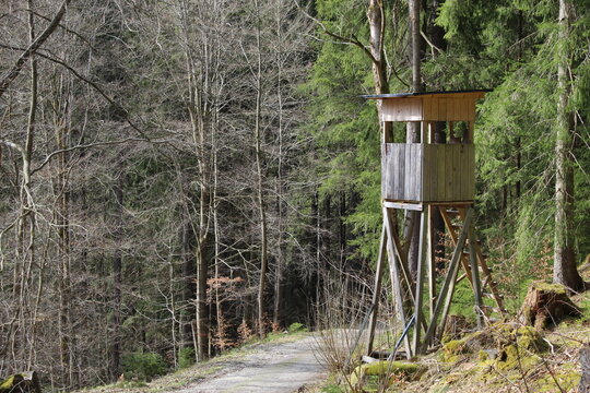 Hochstand Erzgebirge
