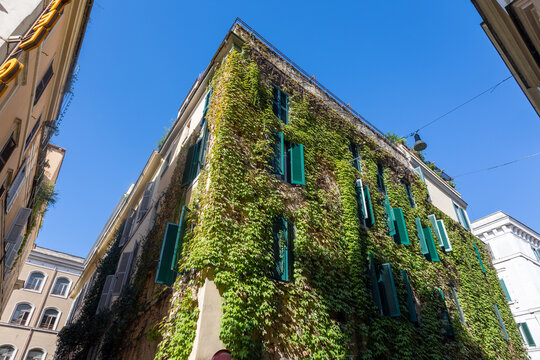 Ivy-covered building with green shutters against a blue sky in the historic centre of Rome, Italy