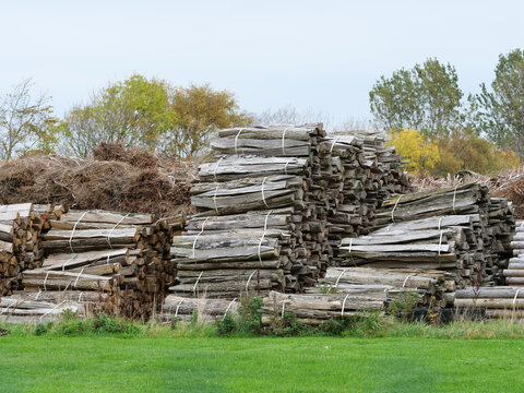 A large outdoor storage area with massive stacks of weathered, split wooden logs and fencing stakes. The timber piles are neatly bundled together with plastic strapping bands, resting on a grassy grou