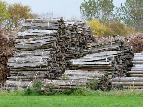 A large outdoor storage area with massive stacks of weathered, split wooden logs and fencing stakes. The timber piles are neatly bundled together with plastic strapping bands, resting on a grassy grou