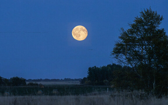 Golden Harvest Moon Rising Over a Quiet Prairie Landscape at Blue Hour