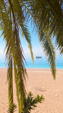 View to the tropical beach through palm leaves with sailboat on turquoise sea