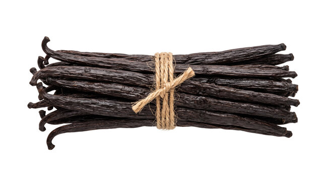 A bundle of dark brown vanilla beans tied together with natural twine, showcasing their rich texture and aroma PNG Isolated on transparent background