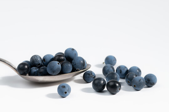 A close-up of a spoon with fresh blue sloes on it. A few more sloes lie next to it. The background is white.