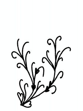 Set of black flower and isolated on white background