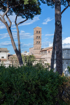 Medieval brick bell tower rising above Roman rooftops framed by umbrella pines, Rome, Italy