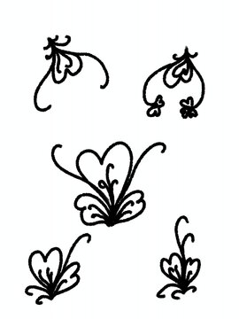 Set of black flower and isolated on white background