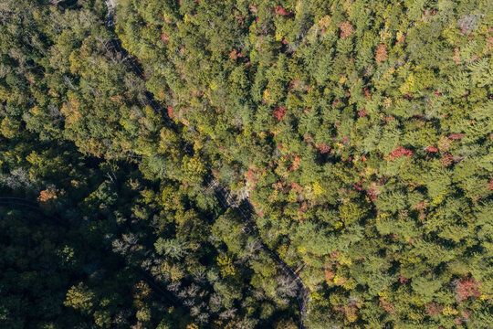 Tail of the Dragon hairpin from above, US 129