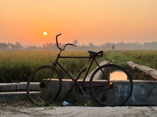 An old bicycle parked on the side of rice field with a hoe during sunrise © Galih Yoga