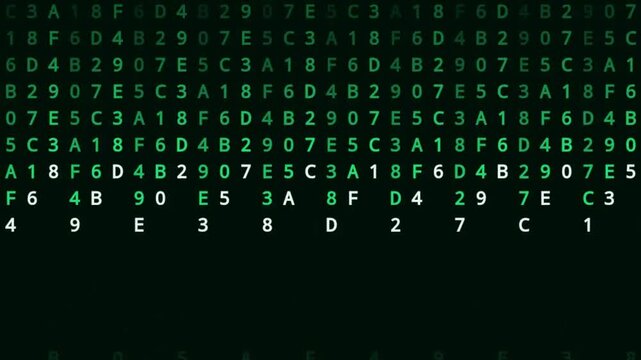 Green Matrix Digital Code Rain Falling Loop Animation.