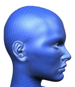 Blue 3D wireframe human head profile