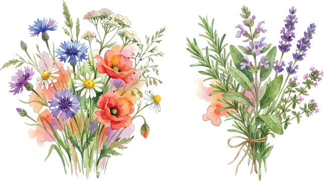 Set of Two Hand Painted Watercolor Bouquets Featuring Wildflowers Poppies Cornflowers Lavender Rosemary and Various Garden Herbs Isolated