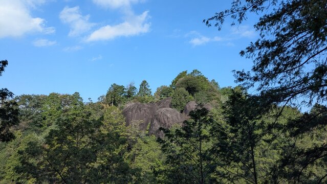 森の間に姿を見せる鬼岩の巨岩