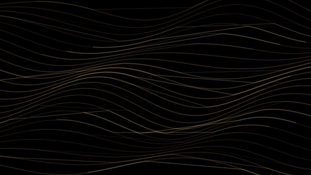 Abstract golden wave lines on black background modern minimalist pattern design