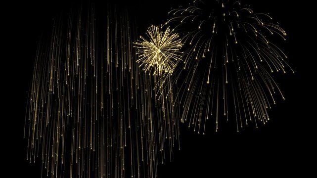 打ち上げ花火 金の錦冠と柳 黒背景 ループ