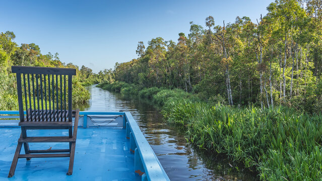 The boat klotok, is sailing along the river in the jungle. There is a wooden chair on the upper deck. The banks are overgrown with trees and lush green grass. The blue sky. Indonesia. Borneo.  
 