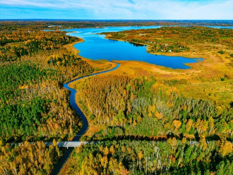 Aerial view of winding river meandering through vibrant autumn forest landscape