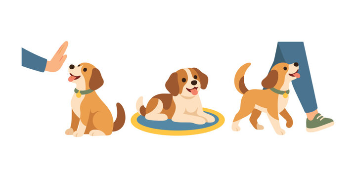Basic Dog Obedience Training Commands Showing Sit Stay Lie Down on Mat and Heel Walking Flat Vector Illustration