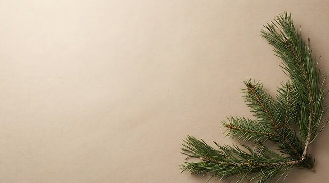 Festive christmas evergreen branch arrangement with pinecones on neutral background