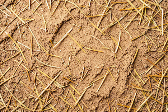 Organic Straw And Clay Cob Plaster Texture Macro Flat Lay Background