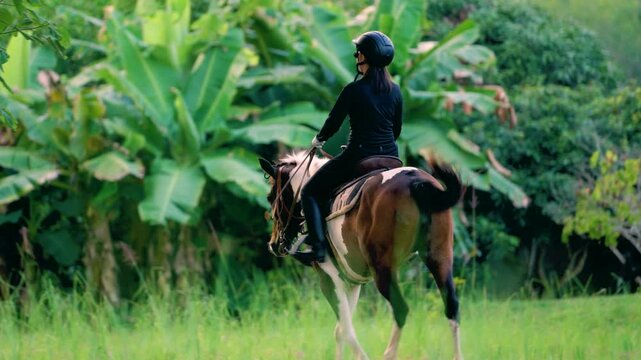 Woman wearing helmet riding brown horse on rural trail surrounded by green tropical plants and trees in natural outdoor environment