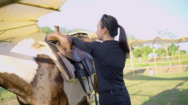 Young Asian woman putting leather saddle on horse preparing for ride at outdoor ranch