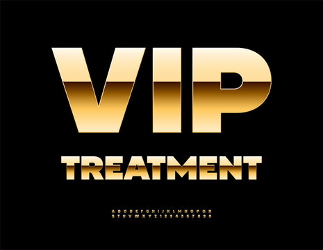 Vector Premium logo VIP Transfer. Exclusive Gold Font. Chic set of Contemporary Alphabet Letters and Numbers.