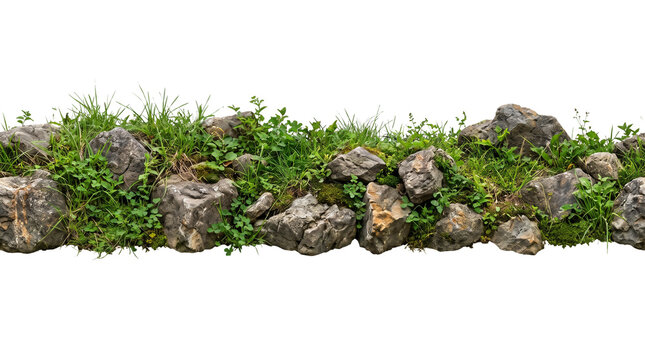 Natural rock and green grass border isolated on white background, realistic stone wall element with moss and plants for landscaping and architectural visualization.