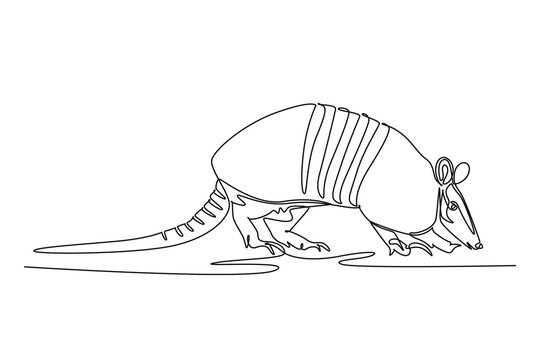 Single one line drawing armored armadillo foraging low with its snout close to the ground, segmented protective shell, banded tail, sturdy legs. Continuous line draw design graphic vector illustration