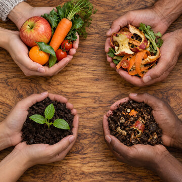 Econom&iacute;a circular de los alimentos: consumo, compostaje y regeneraci&oacute;n