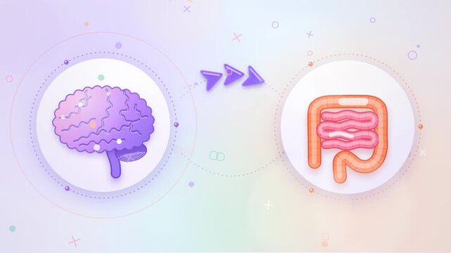 Clean Pastel Gut-Brain Connection Animation with Brain and Intestine Icons and Animated Arrows, Wellness Concept Seamless Loop Video