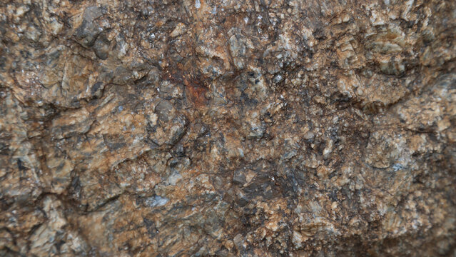 Close-up view of a weathered rock surface showing mineral veins, rough texture and earthy brown tones. Useful as a background or reference for geology, architecture, design and natural textures.