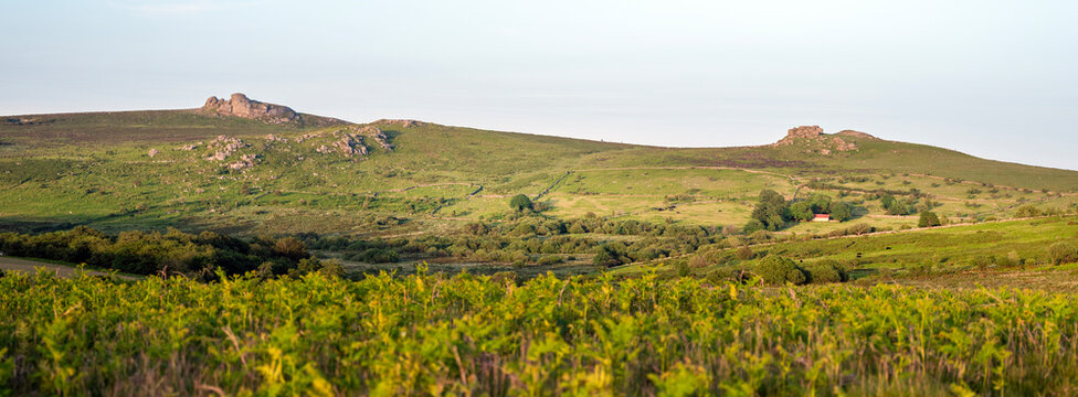 dartmoor landscape with green hills