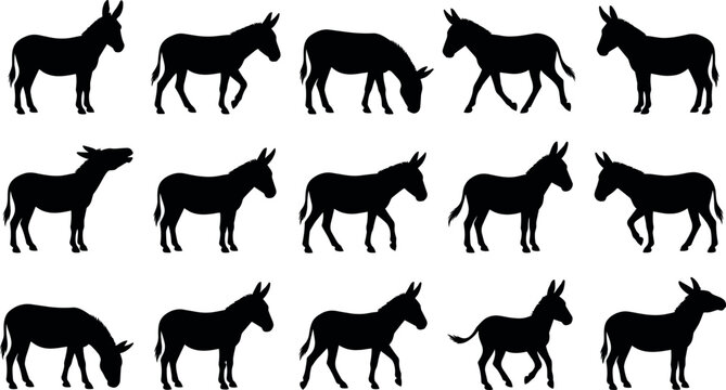 Donkey Silhouette Vector Set Featuring Farm Animals in Standing Walking and Grazing Poses for Rural Countryside Agriculture and Livestock Graphic Branding Designs