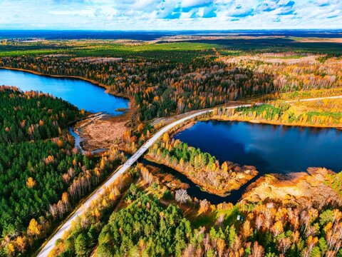 Aerial view of scenic rivers surrounded by vibrant autumn forests under a clear blue sky