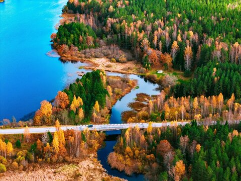 Aerial view of a winding river surrounded by autumn trees and asphalt road with car