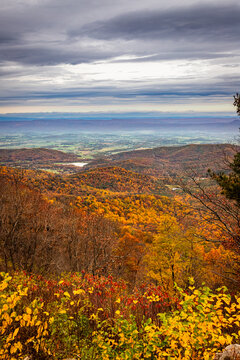 Autumn Color from the Appalachian Trail at Jewell Hollow Overlook at Shenandoah National Park near Luray Virginia