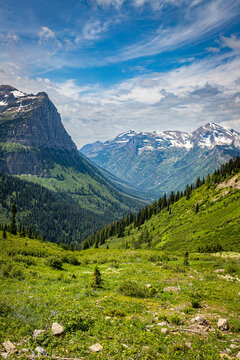 Paradise Meadow in Glacier National Park Montana