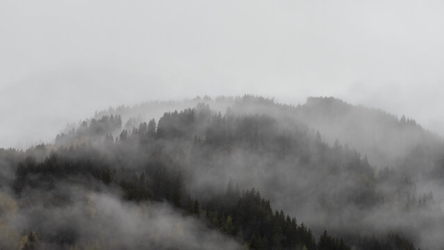 paysage fantasmatique avec brume et for&ecirc;t de sapins en montagne