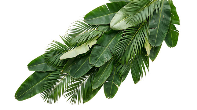 Dense pile of green banana leaves and palm fronds overlapping diagonally, lush tropical jungle foliage bunch with copy space isolated on transparent background PNG