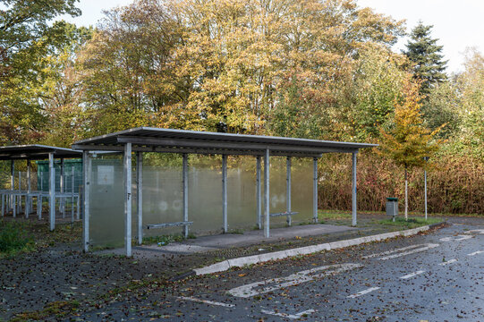 Covered bicycle parking shelters beside a paved lot in a tree-lined area in autumn